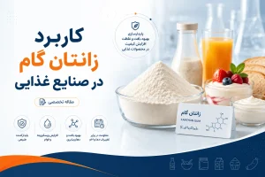 کاربرد زانتام گام در صنایع غذایی
